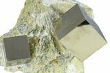 Two Natural Pyrite Cubes In Rock - Navajun, Spain #361860-1